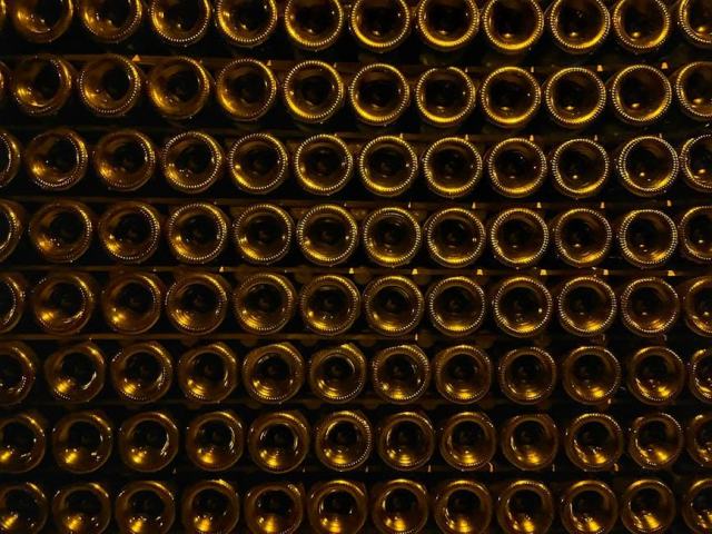 Cave à vin : quel modèle choisir pour bien conserver vos bouteilles ?