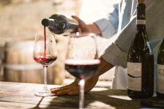Carafe décantation vin : notre comparatif des meilleures carafes