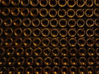 Cave à vin comparatif 2026 : trouver la meilleure cave électrique