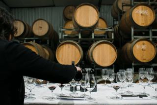 Température de service du vin : guide pratique complet