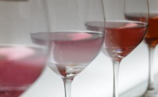Verre à vin sans pied : les meilleurs tumblers et modèles 2026
